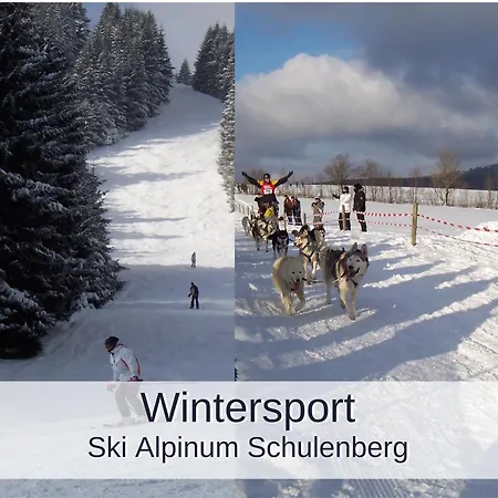 Okerstern * Schulenberg im Oberharz
