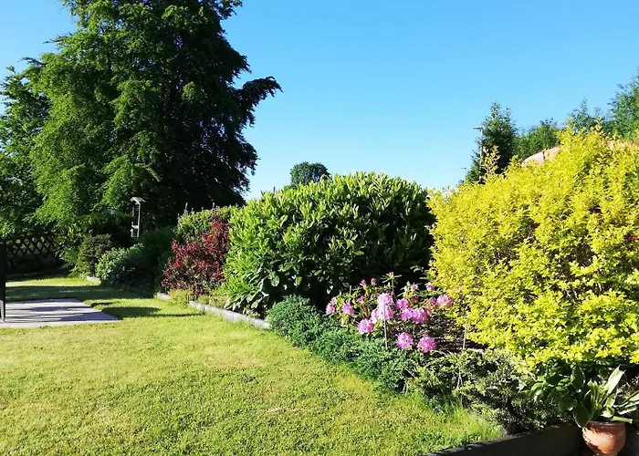 Okerstern * Schulenberg im Oberharz